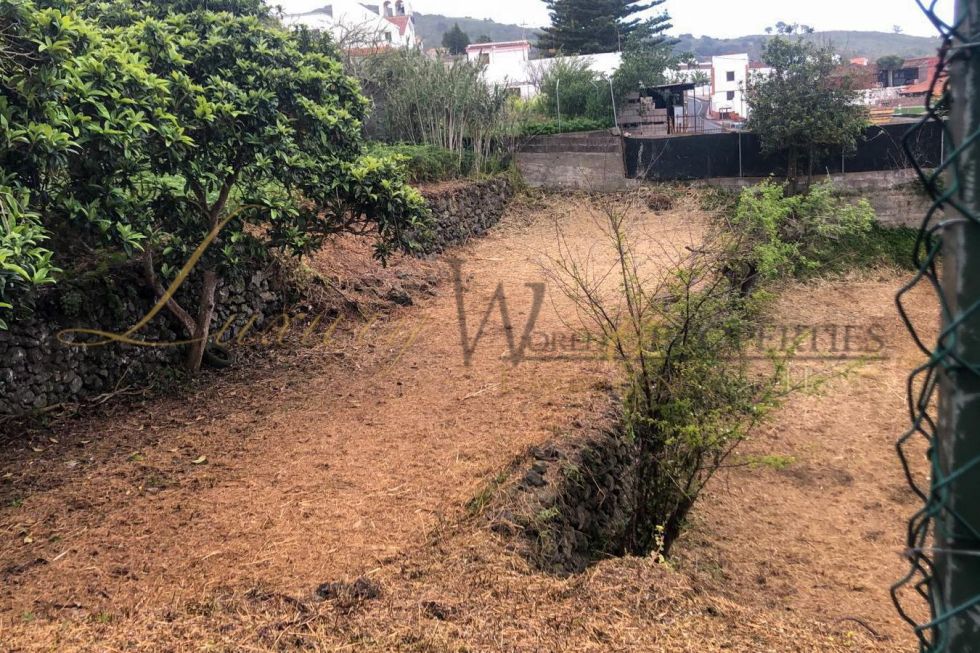 Land for sale in  El Tanque, Spain - LWP4994 Plot in El Tanque