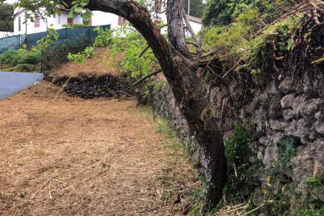 Land for sale in  El Tanque, Spain - LWP4994L Parcela El Tanque (L)