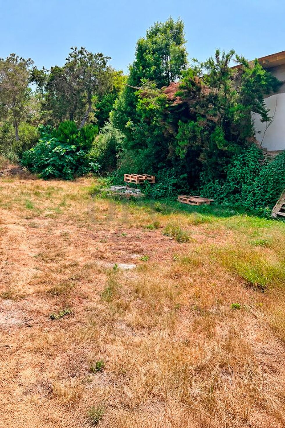 Land for sale in  El Tanque, Spain - LWP7170 Parcela en Ruigomez (El Tanque)