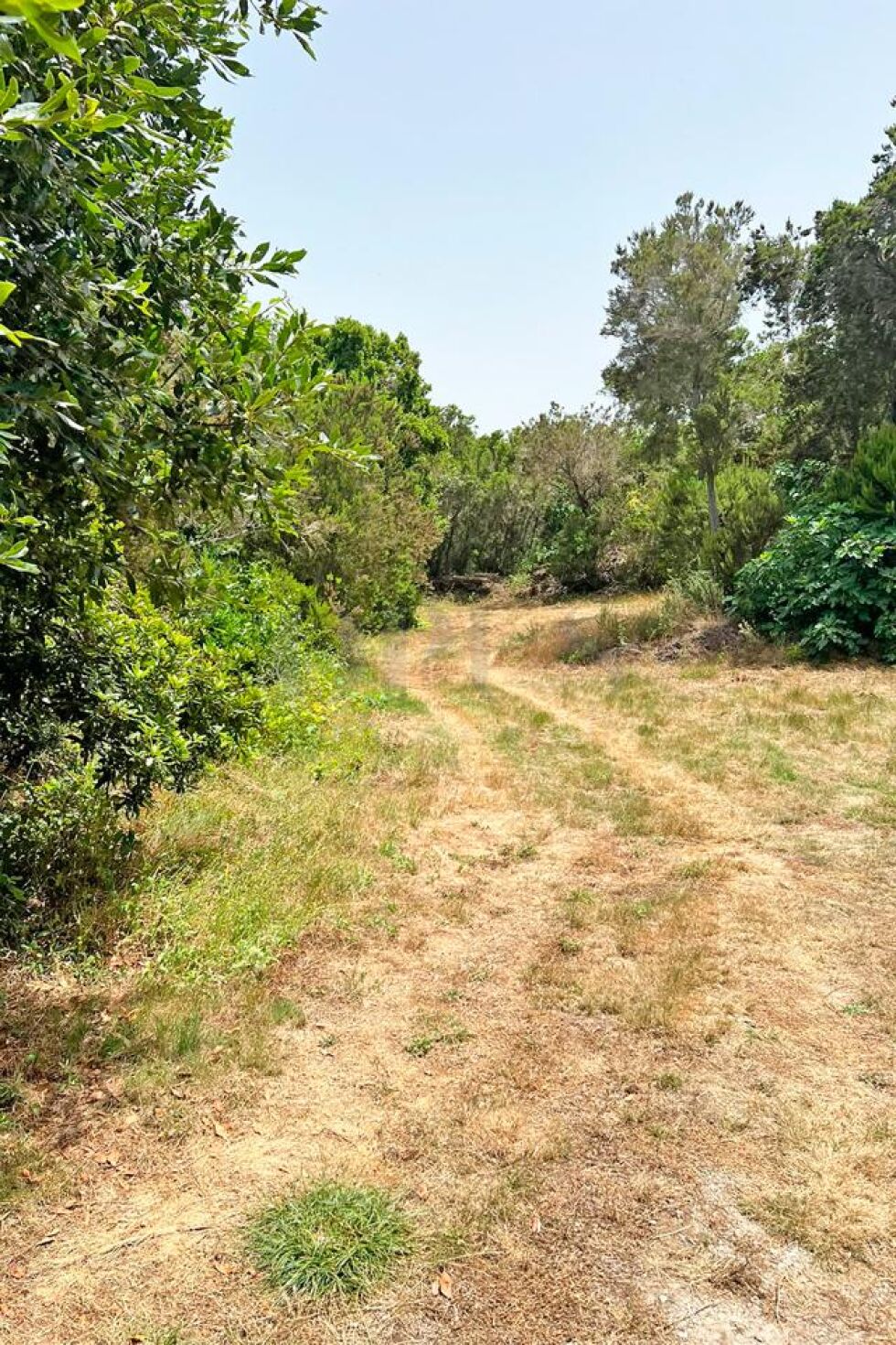 Land for sale in  El Tanque, Spain - LWP7170 Parcela en Ruigomez (El Tanque)