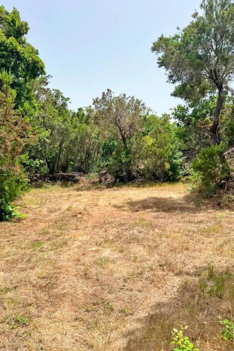 Land for sale in  El Tanque, Spain - LWP7170 Parcela en Ruigomez (El Tanque)