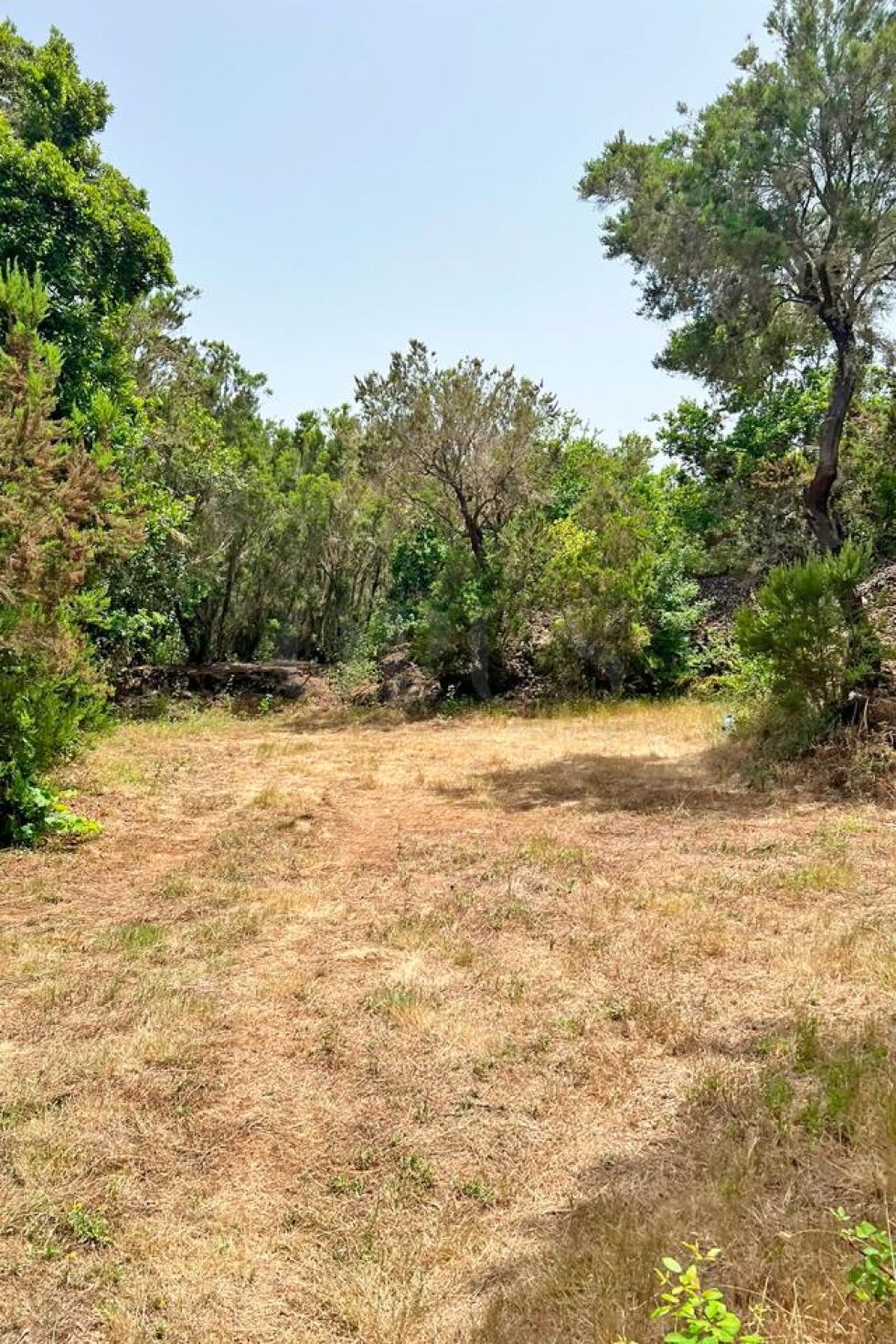 Land for sale in  El Tanque, Spain - LWP7170 Parcela en Ruigomez (El Tanque)