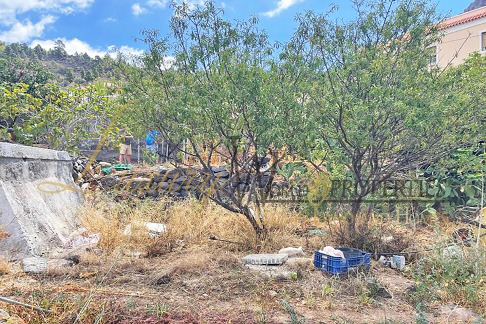 Land for sale in  Tamaimo, Spain - LWP4277 Parcela en Tamaimo