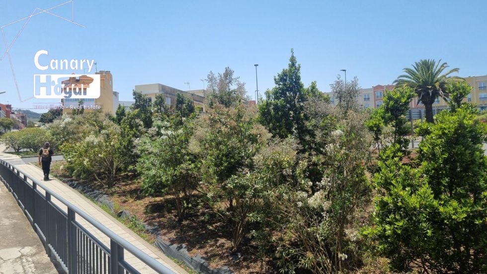 Others for sale in  La Laguna, Spain - 057881