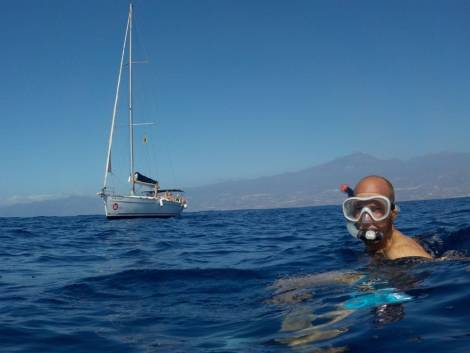 Private Sailboat for Discovering Whales and Dolphins