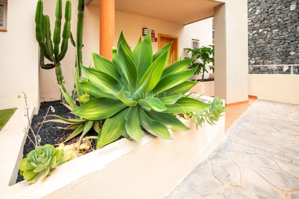 Semi-detached house for sale in  Santiago del Teide, Spain - P2537