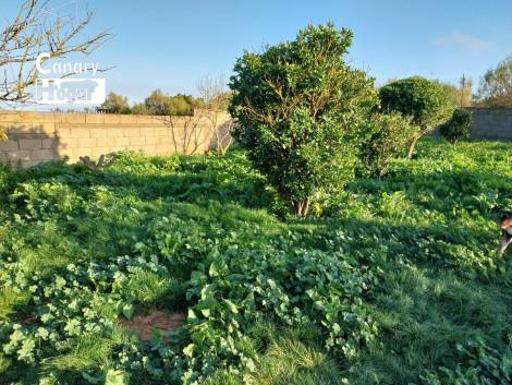 Semi-detached house for sale in  La Laguna, Spain - 049771