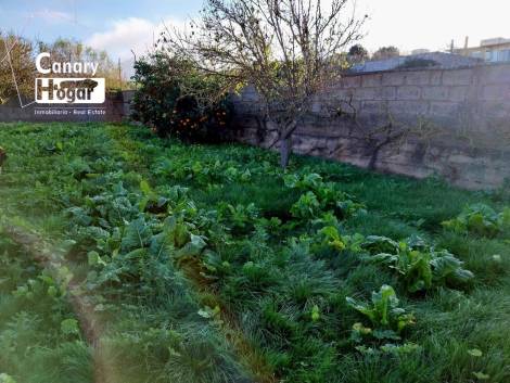 Semi-detached house for sale in  La Laguna, Spain - 049771