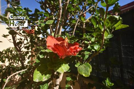 Semi-detached house for sale in  El Médano, Spain - 057581