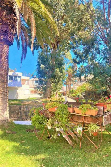 Studio for sale in  Arona, Spain - LWP5040 Eureka - Costa del Silencio