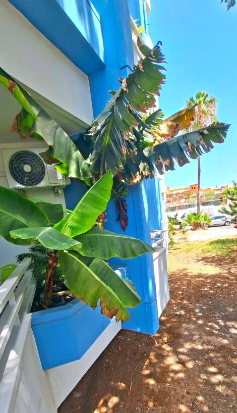 Studio for sale in  Green Park, Golf del Sur, Spain - TR-3053