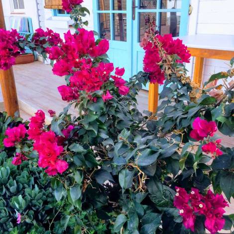 Townhouse for sale in  Arona, Spain - TR-2696