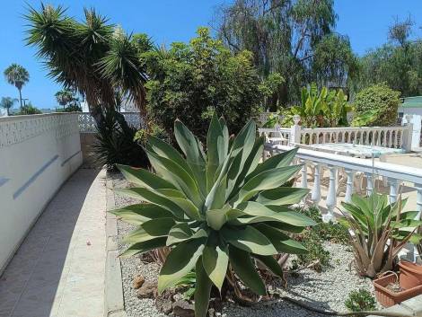 Townhouse for sale in  Costa Adeje, Spanyolország - TRC-2640