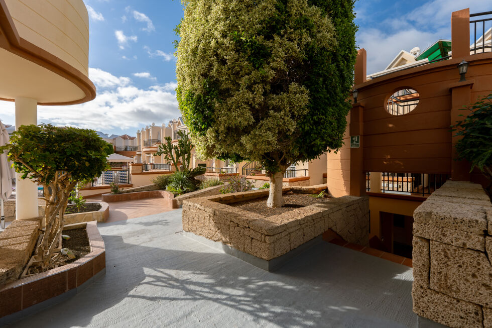 Apartment for rent in  Yucca Park, Costa Adeje, Spain - TRV-168