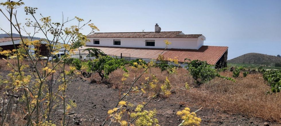 Urban land for sale in  Vilaflor, Spain - 044821