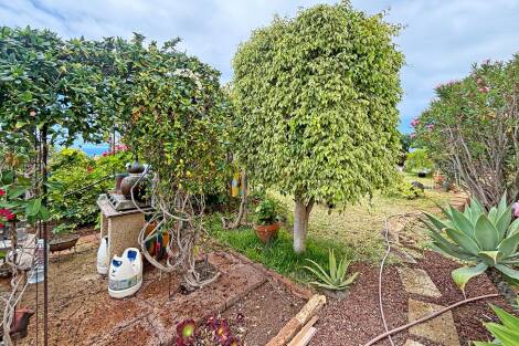 Villa for sale in  Adeje, Spain - LWP7003 Casa en Callao Salvaje