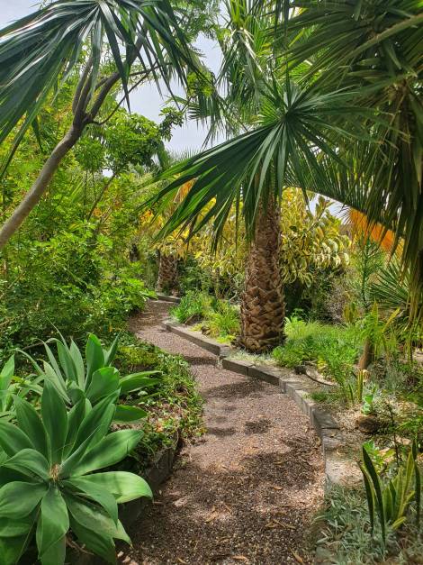 Villa for sale in  Buzanada, España - TRC-2596