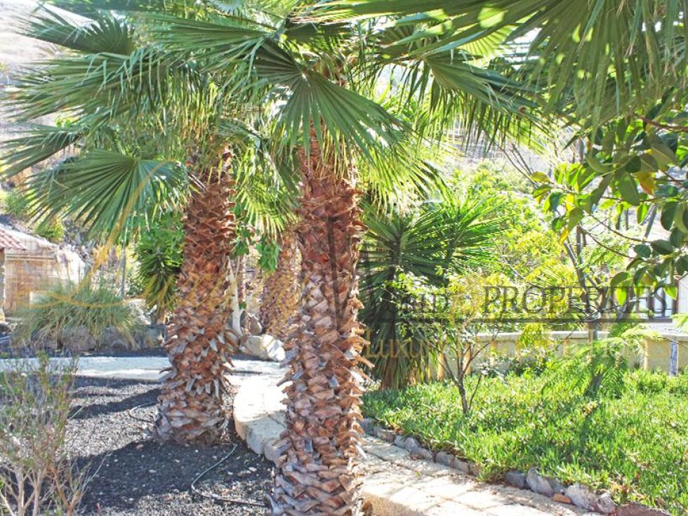 Villa for sale in  Barrio Los Menores, Spain - LWP4382 Finca en Los Menores