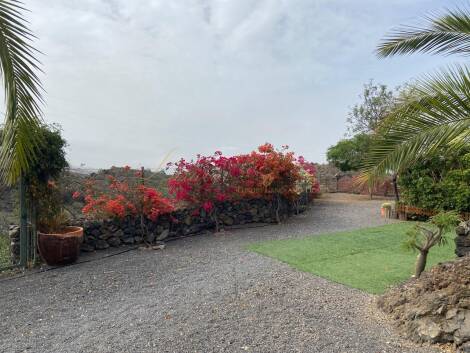 Villa for sale in  Aripe, Spain - LWP7072 Finca en Aripe (Guia de Isora)