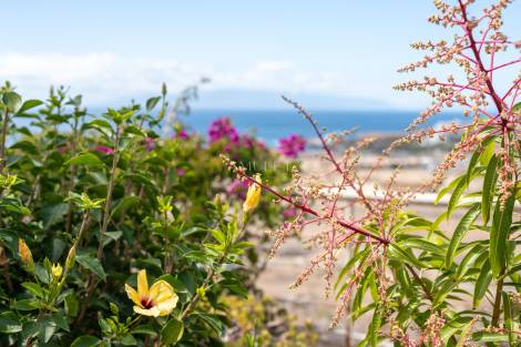 Villa for sale in  Costa Adeje-Playas del Duque, Spain - P2275