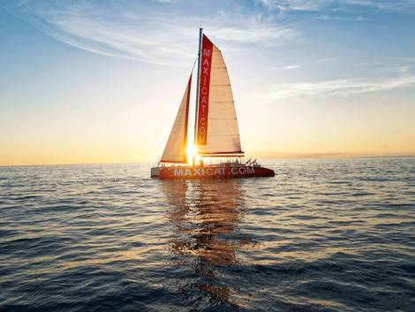 Whale and Dolphin Cruise with Food and drinks