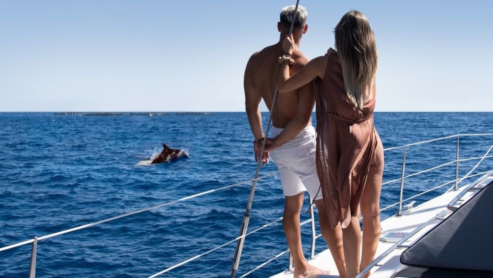 Chill Out Private Cruise with dolphins