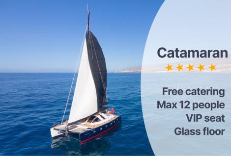 Chill Out Private Cruise with dolphins