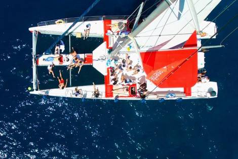 Whales Listening Eco-Catamaran Tour with Food Tasting