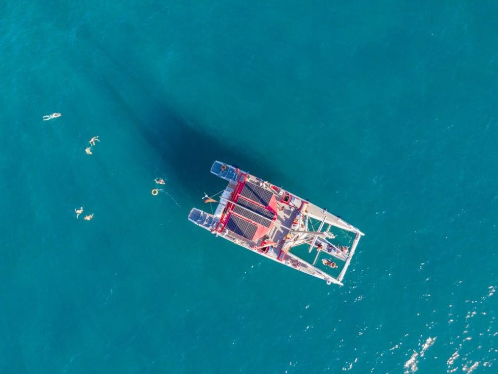 Whales Listening Eco-Catamaran Tour with Food Tasting