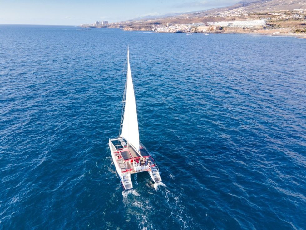 Whales Listening Eco-Catamaran Tour with Food Tasting