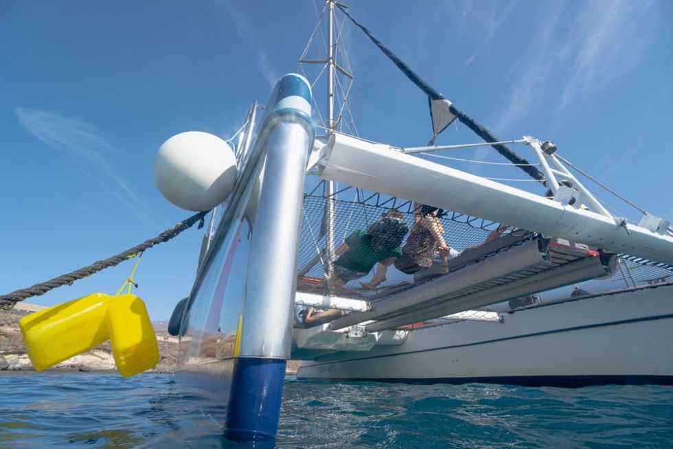 Whales Listening Eco-Catamaran Tour with Food Tasting